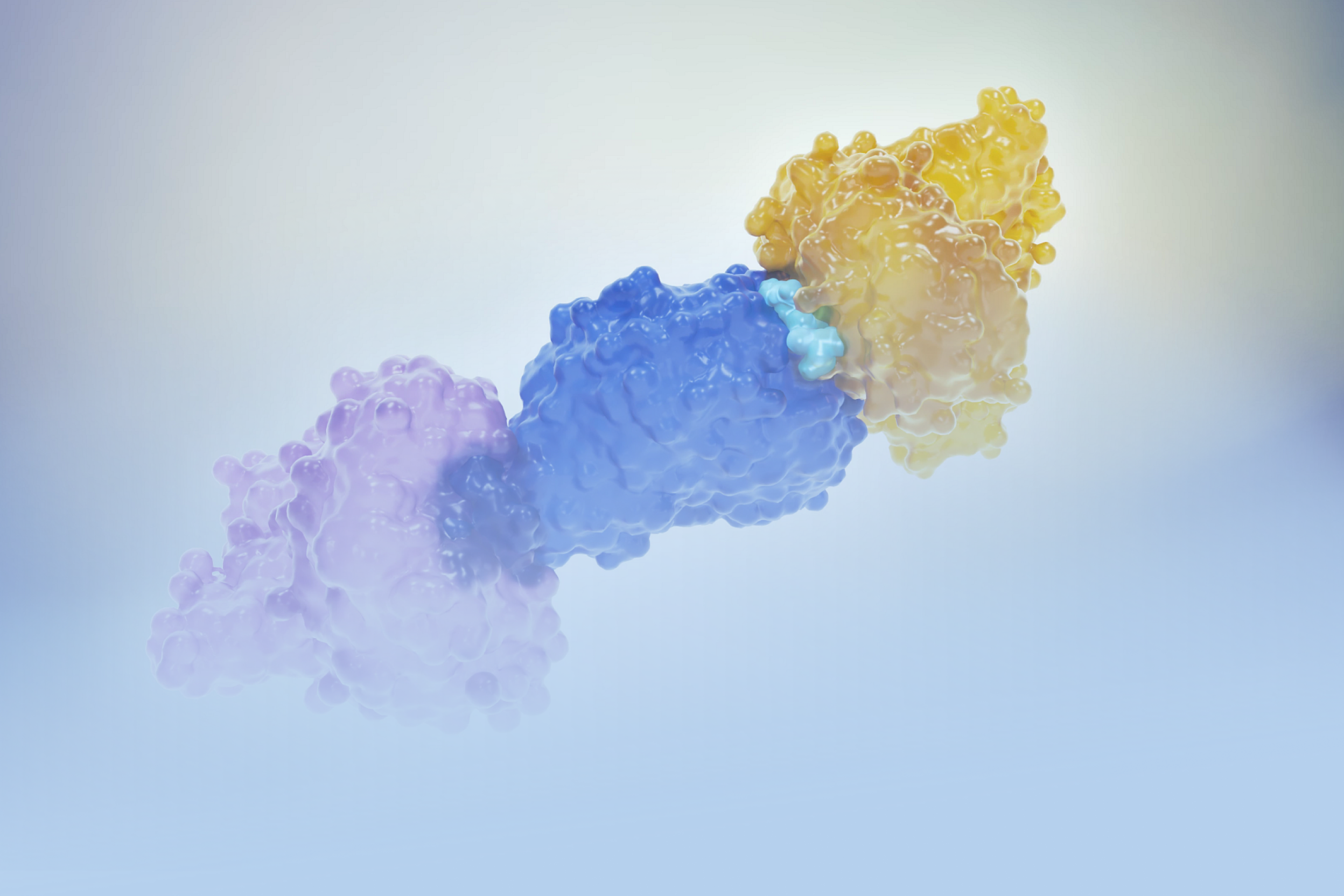 Molecular glue: nova fronteira em terapias biotecnológicas